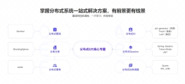 玩转N种企业级解决方案，笑傲分布式开发